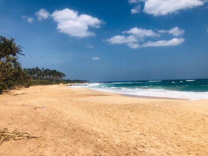 Beach Property for sale in in Rekawa, Sri Lanka - P001