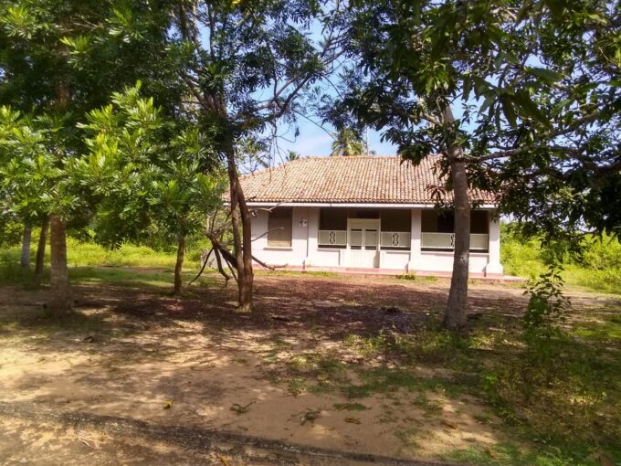 Spacious beach-side land for sale in Kahandamodara, Hambantota.