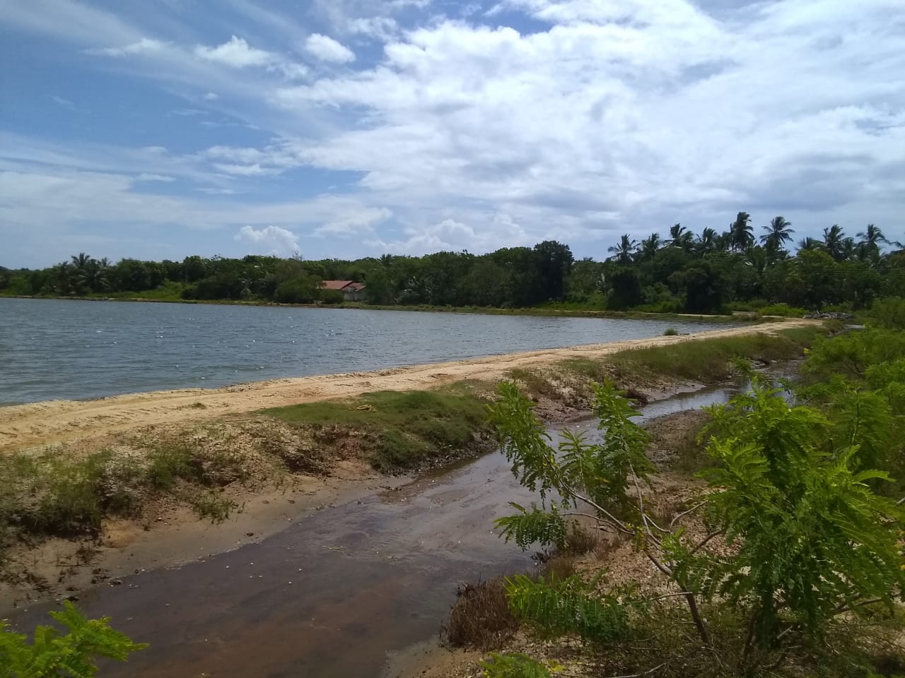Southern Land by the lake in Hungama, for sale.