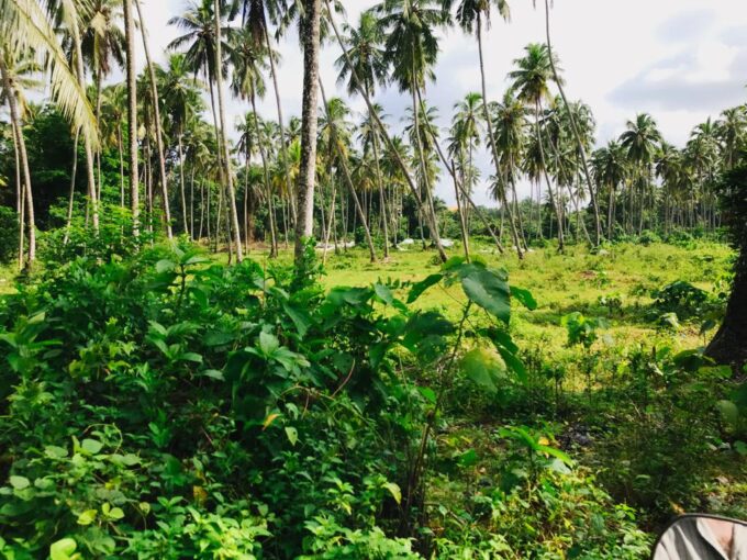 Land for sale in Kelaniya, BOI Zone