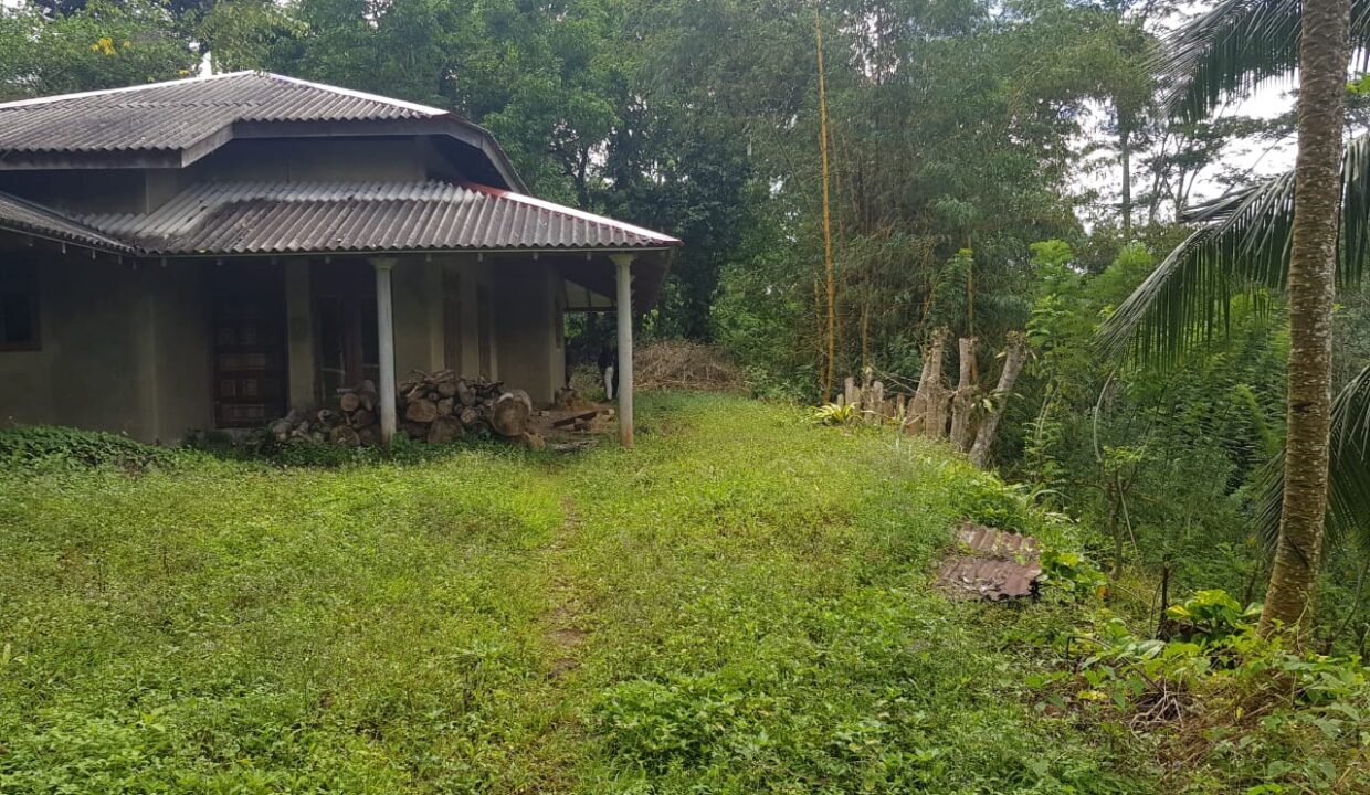 Beautiful and attractive sceneryviewing Tea Estate with a Factory for