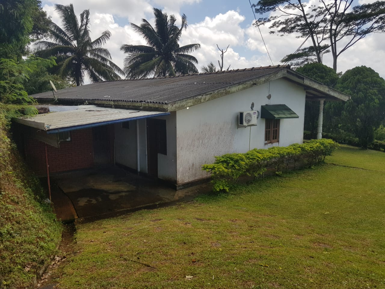 Beautiful and attractive sceneryviewing Tea Estate with a Factory for sale. Buy, Rent and