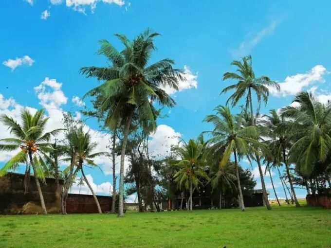 Negombo Beach Property for Sale