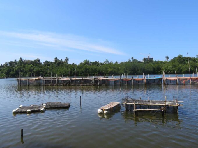 lake side land for sale in balapitiya, sri lanka