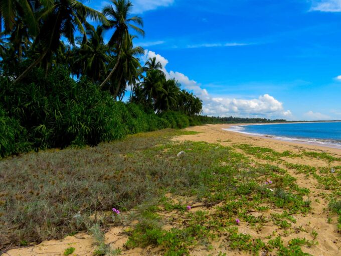 Beach property for sale, kalametiya, hambantota, sri lanka