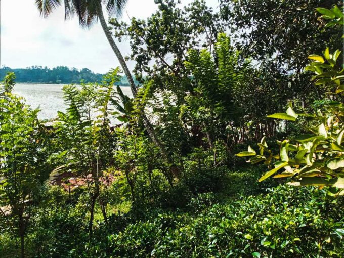 Land for sale in Weligama, Sri Lanka