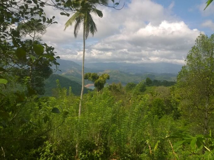 Vast bare land in hills of Kandy Teldeniya