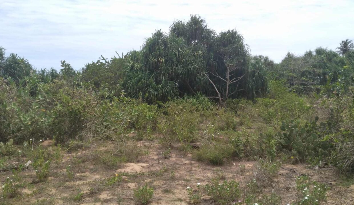 S018 (10)
