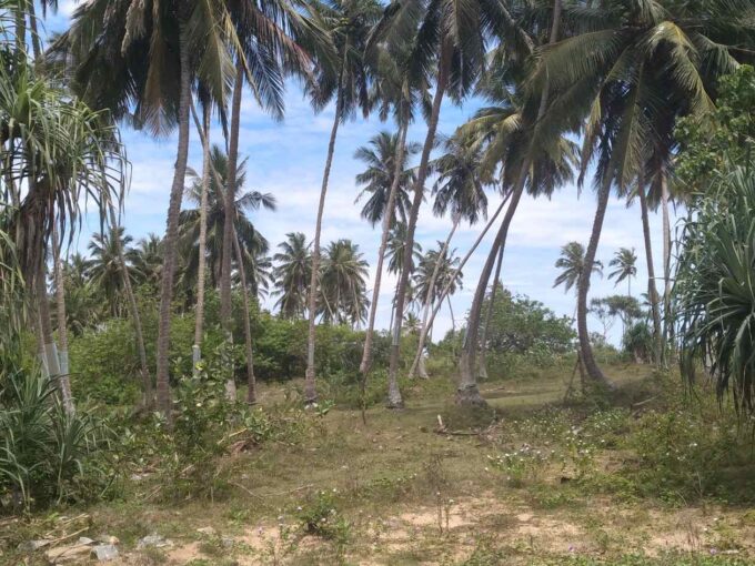Beachfront land in Rekawa for sale