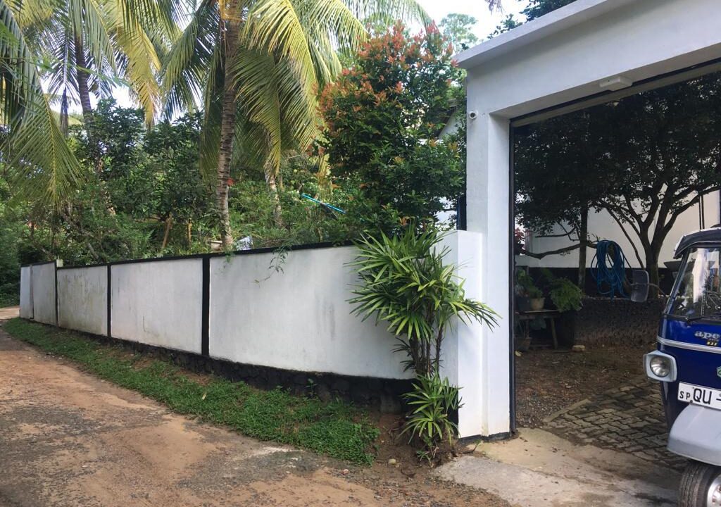 S029 (10)