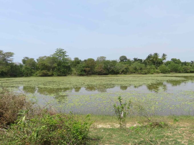 40 acres land in Kahandamodara Tangalle