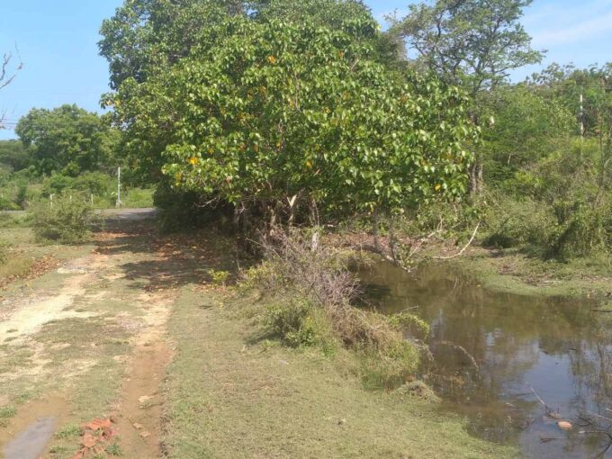 7.5-acre Land suitable for Yacht & Plesure Craft Building for sale in Kahandamodara