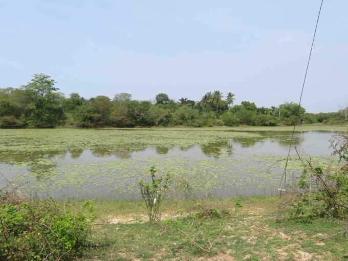 15-acre land for sustainable composting plant in Kahandamodara Tangalle for sale
