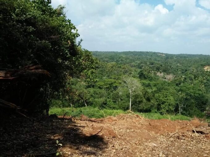 418-perch hilltop land in Kudawella Tangalle