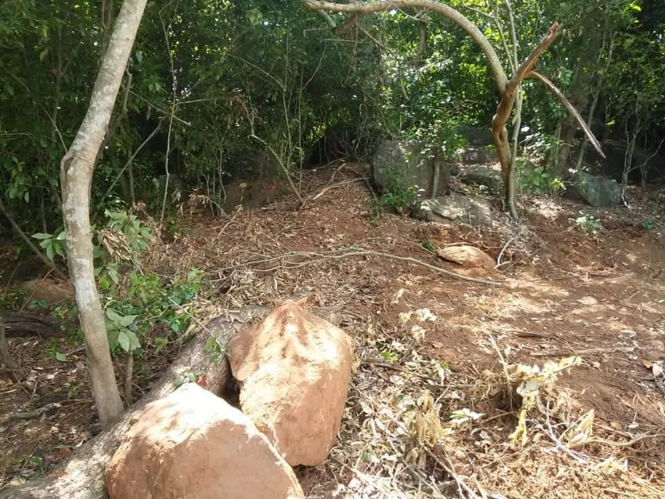 Upscale & hilltop land in Kudawella, not far from Matara 418 perches