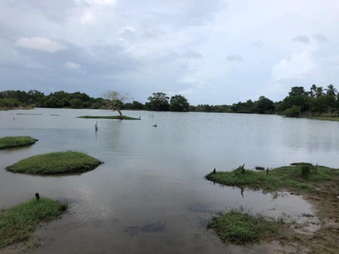Lakefront land in Rekawa Tangalle for sale
