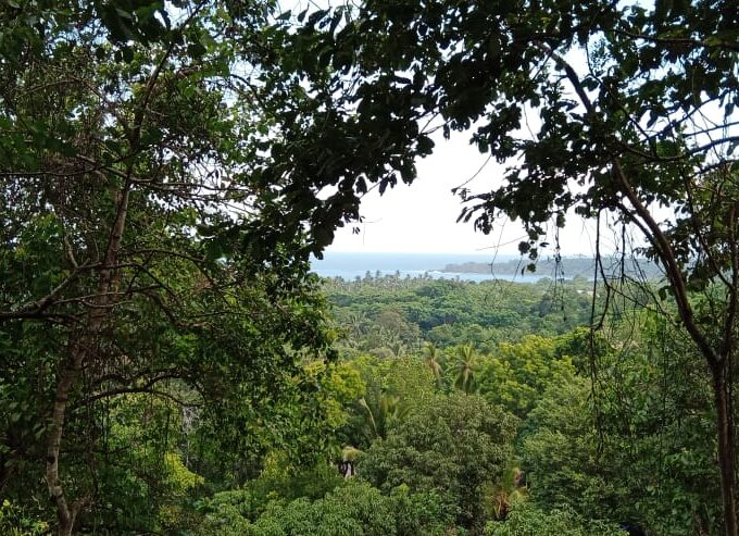 Hilltop land in Rekawa Tangalle for sale with ocean view