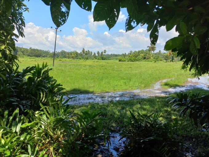 Weligama land 215 perches for sale entirely or partly